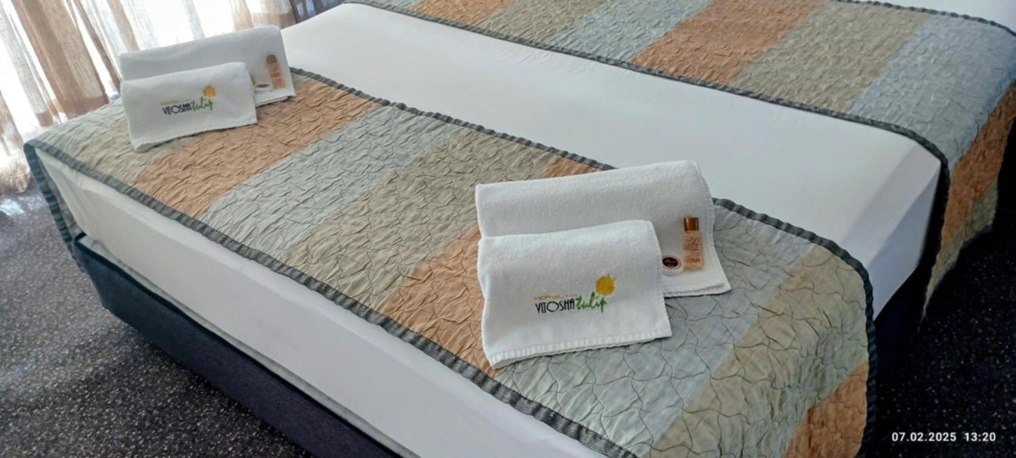 Hotel Vitoshko Lale Sofia
